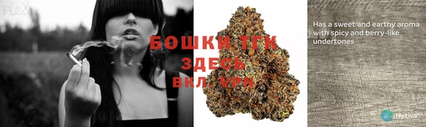 ешки Волосово