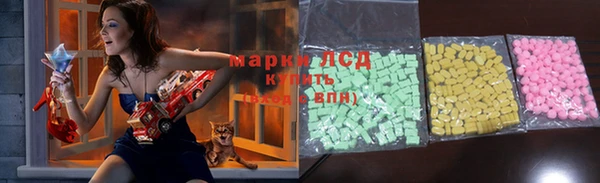 крисы Вязьма